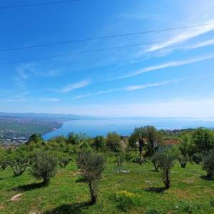 Građevinsko zemljište, Opatija, Bregi, 2355 m2 + poljoprivredno 4077m2
