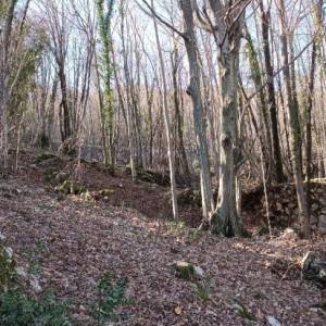 Građevinsko zemljište, Opatija, Bregi, 2355 m2 + poljoprivredno 4077m2