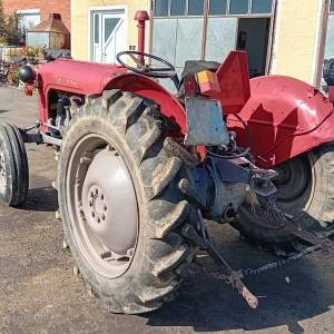 Imt  533