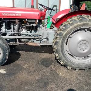 Imt  533