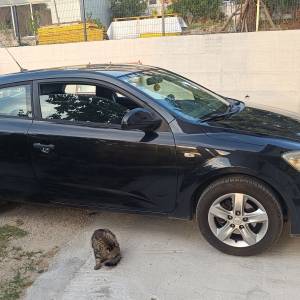Kia Ceed 2010. godiste