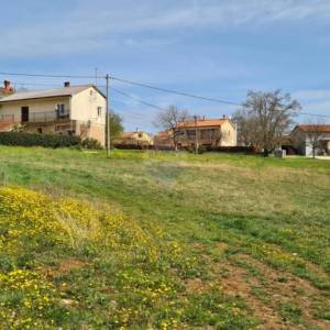 MOTOVUN zemljište sa projektom i dozvolom za dvije vile sa bazenom
