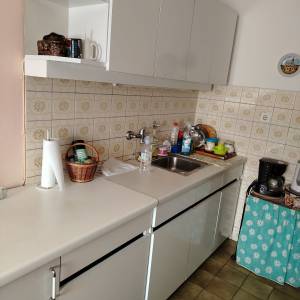Obiteljska kuća s dvorištem