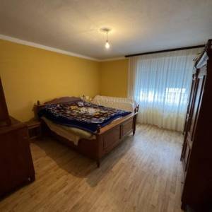 Obiteljska kuća s velikom okućnicom u Ždralovima