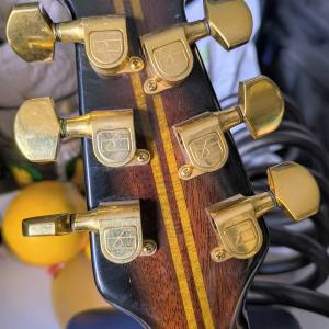 Ovation Glenn Cambell, raritet