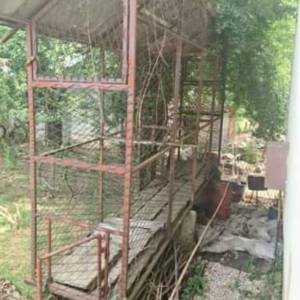 Prodajem kukuruznjak 4×0.8m bisina 3m..