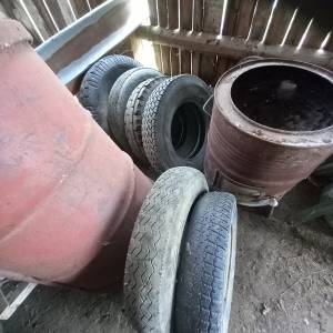Runjaci kukuruza itd više toga