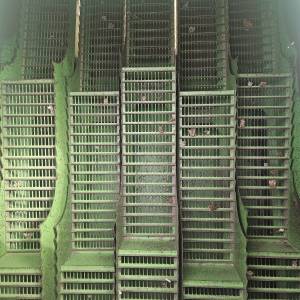 Topliner 4065 HTS
