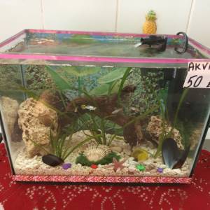 Ukrasni akvarij sa satom i svijetlom