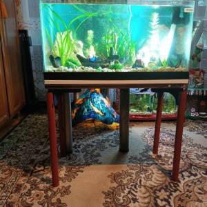 Ukrasni akvarij sa satom i svijetlom