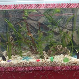 Akvarij 80 litara sa poklopcem i svijetlom