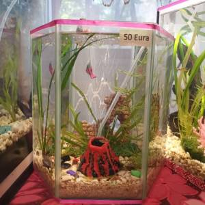 Akvarij sa poklopcem i led svijetlom