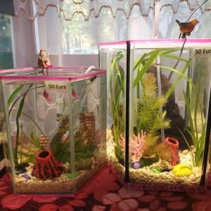 Akvarij sa poklopcem i led svijetlom