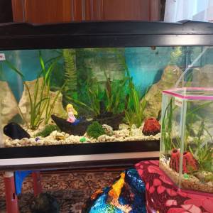 Akvarij šesterokutni, 19 litara