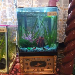 Akvarij šesterokutni, 19 litara