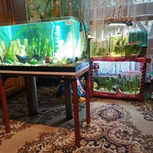 Akvarij šesterokutni, 19 litara