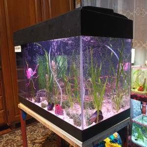 Akvarij šesterokutni