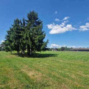 BREZOVICA, KUĆA SA 2 STANA, POMOĆNA ZGRADA ( STAN) I VELIKA OKUĆNICA (