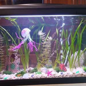 Brodski reflektor na 12 V