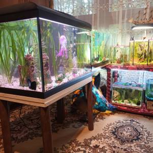 Brodski reflektor na 12 V