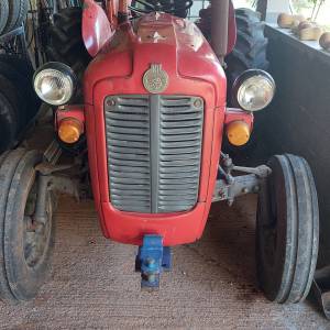 IMT 539