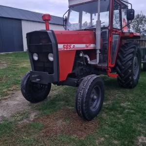 Imt 565