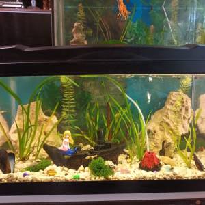 Kamp stolica sklopiva i jastuci za stolice