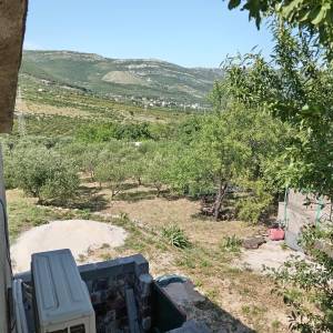 Kaštel Štafilić, 39m2 kuća, 3 pomoćna objekta, 1650m2 poljoprivrednog