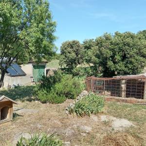 Kaštel Štafilić, 39m2 kuća, 3 pomoćna objekta, 1650m2 poljoprivrednog