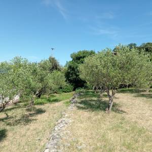 Kaštel Štafilić, 39m2 kuća, 3 pomoćna objekta, 1650m2 poljoprivrednog