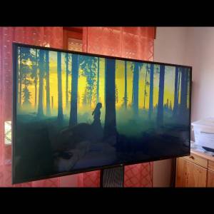 Lg smart tv 4k 65 inča
