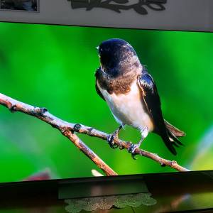Lg smart tv 4k 65 inča