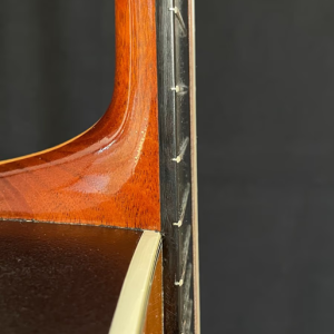 Ovation klasična gitara profi