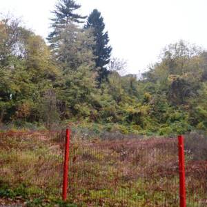 Podsljeme-Šestinski vrh 5.730 m2-građevinska parcela - ČISTI PAPIRI !
