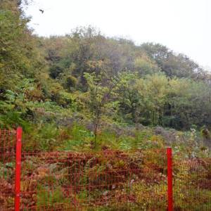 Podsljeme-Šestinski vrh 5.730 m2-građevinska parcela - ČISTI PAPIRI !
