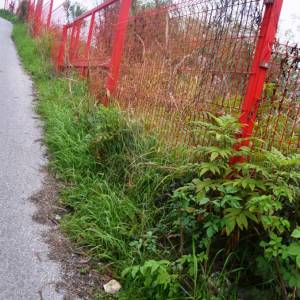 Podsljeme-Šestinski vrh 5.730 m2-građevinska parcela - ČISTI PAPIRI !