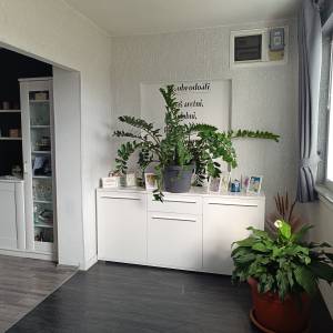 Prostran trosoban stan sa dvorištem i konobom