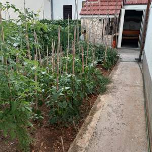 Prostran trosoban stan sa dvorištem i konobom