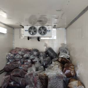 Rashladna komora, minusni režim rada