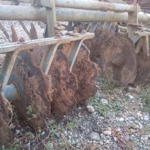 Rotobrana rau i tanjurača olt