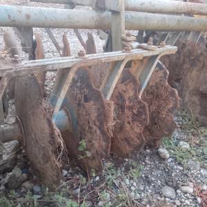 Rotobrana rau i tanjurača olt