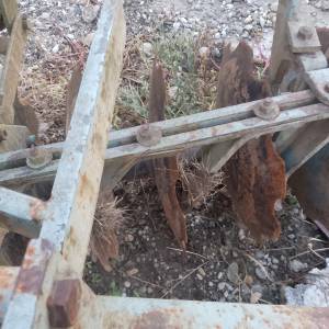 Rotobrana rau i tanjurača olt