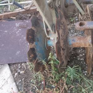 Rotobrana rau i tanjurača olt