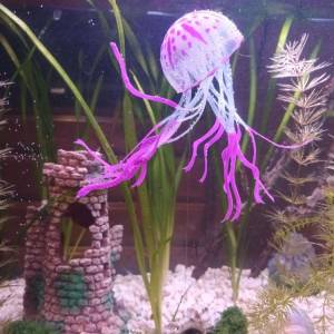 Ukrasni akvarij sa satom i svijetlom