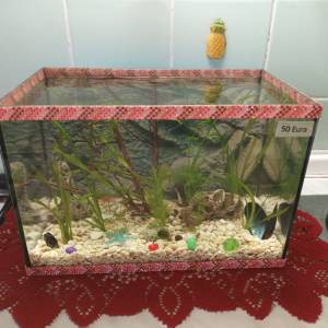 Ukrasni akvarij sa satom i svijetlom