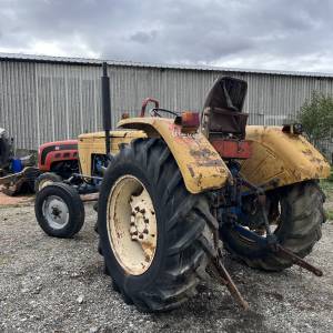 Ursus 355