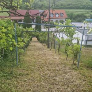 ZELINA, HRNJANEC, VIKEND KUĆA 100m2 (prodaja)