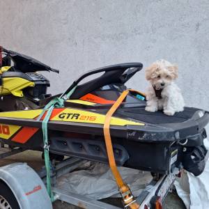 2015 SEADOO GTR 215, top stanje