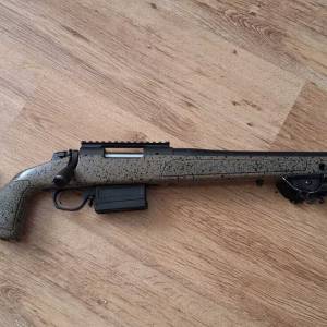 Bergara HMR