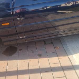 Bmw 318i karavan benzin plin